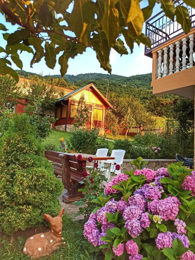Apartment Lakeview Plužine Extérieur photo