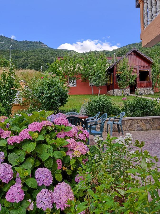 Apartment Lakeview Plužine Extérieur photo