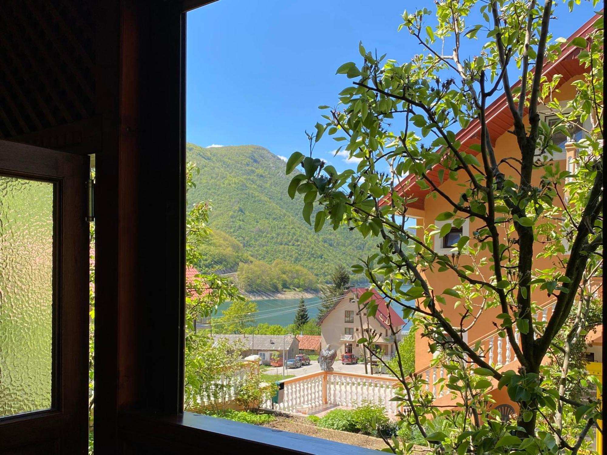 Apartment Lakeview Plužine Extérieur photo